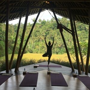 Meet your Posher, Leigh-Ann